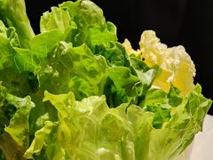 -潮发潮汕牛肉店(东方宝泰店)