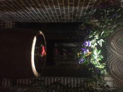 雅曼妮养生会馆(黄浦店)-雅曼妮