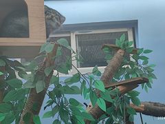 -青藏高原野生动物园