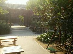 晨曦-北京和园国际青年客栈