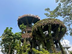 -芒洲湿地公园