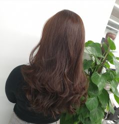 -Y-STUDIO原理