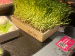 -九鼎轩脆毛肚火锅(南京东路店)
