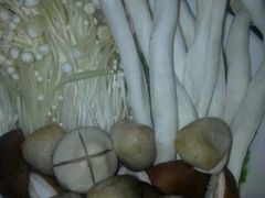 -润泽园椰子鸡(汇一城店)
