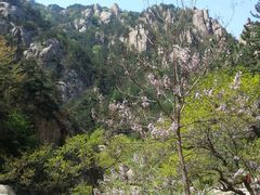 -崂山仰口游览区