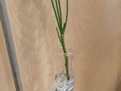 -常识咖啡common sense(春熙路店)