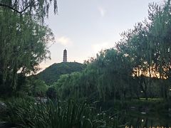 -北坞公园