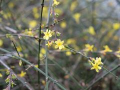 -张家港凤凰山景区河阳山歌馆