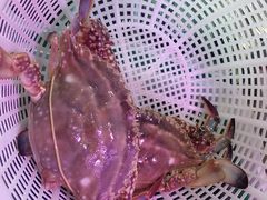 -三个渔夫·蒸汽海鲜(小白楼店)