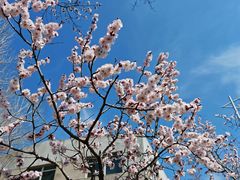 -吉林大学(南岭校区)