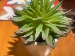 -TIAGO HOME KITCHEN(王府中环店)