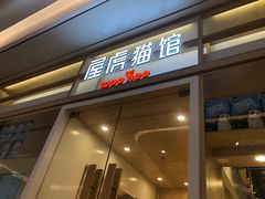 -屋虎猫馆(宝安大仟里店)