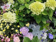 -武汉园博园(武汉自然博物馆)