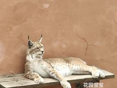 -青藏高原野生动物园