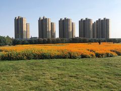 -映月湖中央公园