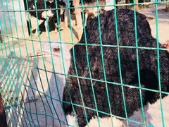 游乐设施-武汉紫薇都市田园