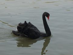 iphone_upload_pic-溱湖国家湿地公园