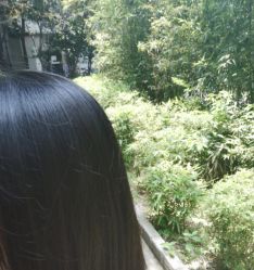 -YESIDO椰岛造型