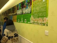 -LILY英语思维馆(玉泉路店)