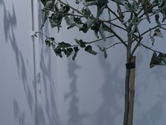 -收获咖啡HARVEST RESERVE(苍山店)