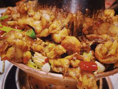 -蛙蛙叫干锅年代(簋街总店)