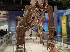 -国家自然博物馆