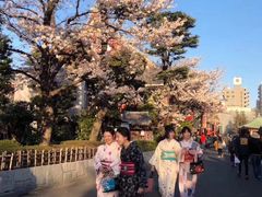 -东京浅草和服体验江户和装工房雅(浅草本店)
