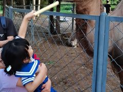 -长白岛森林公园