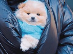 -佛山京华广场MALL