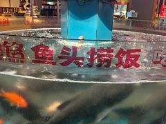 -魏铭鱼头捞饭(晋阳路店)