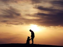 -亿利库布其七星湖沙漠生态旅游区