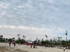 -九龙湖公园