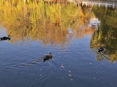 -西宁市人民公园(城西区)