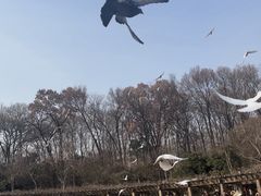 -音乐台
