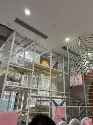 -宝燕乐园(春申店)