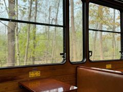 -合肥滨湖国家森林公园