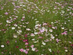 -三亚南山文化旅游区