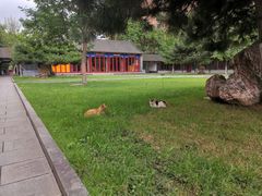 -护国法轮寺