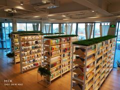 -猫的天空之城概念书店(北戴河蔚蓝海岸店)
