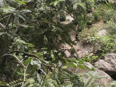 -藏龙百瀑风景区