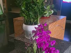 -黔蘑菇四季餐厅(观山湖店)