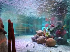 -沈阳海洋探索中心