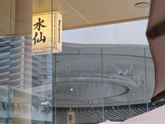 -BeauTea水仙(coco park店)