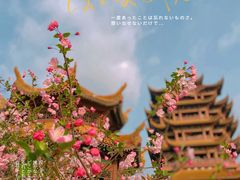 -黄鹤楼