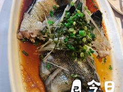 石斑鱼-开海·红岛海鲜虾水饺(石老人店)