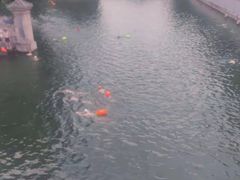 -柳浪游泳场
