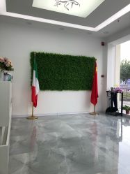 -莱可美科技美肤