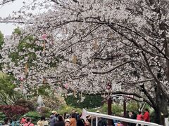 -堤角公园