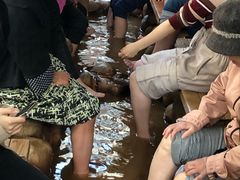 足泡湯-有马温泉