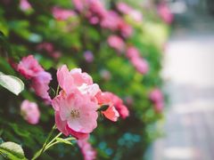 -上海浦东丽晟假日酒店